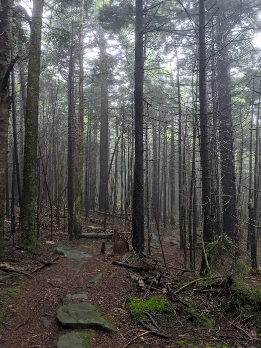 Devils Path Trail. Camp Area 4