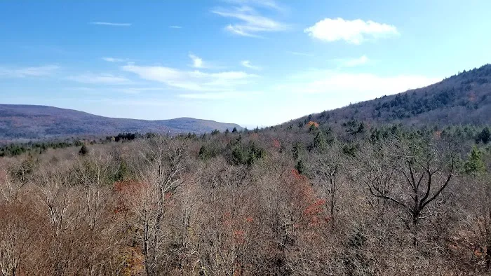 Devils Path Trail. Camp Area 6
