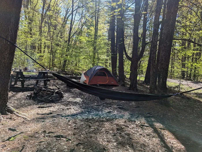 Allaben Campground 2