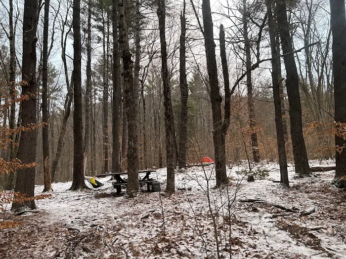Allaben Campground 5