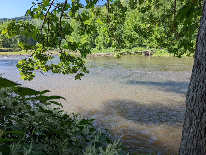Allaben Campground 8