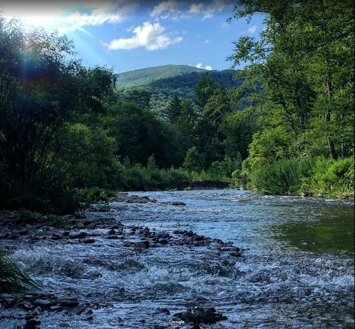 Upper Esopus Creekside Camp 2