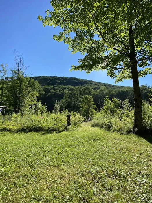 Upper Esopus Creekside Camp 5