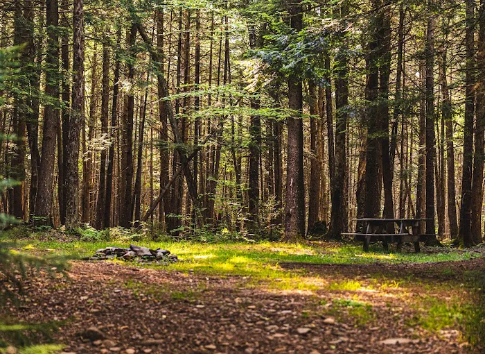 Willowemoc Campgrounds 3