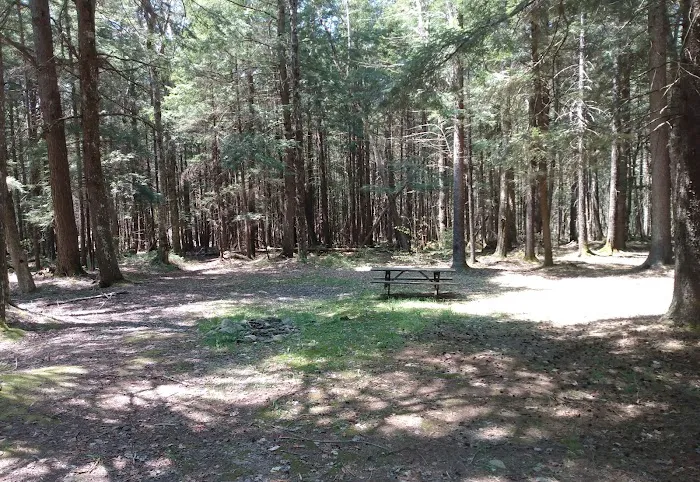 Willowemoc Campgrounds 4