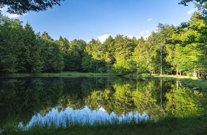 Willowemoc Campgrounds 8