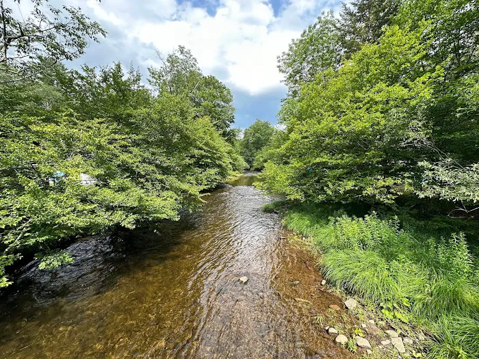 Willowemoc Campgrounds 9