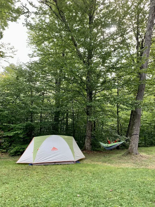 Mongaup Pond Campground 2