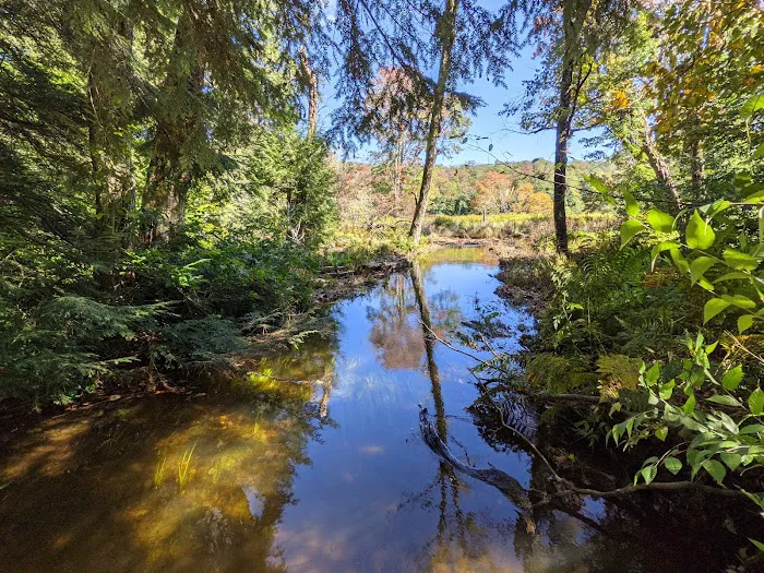 Mongaup Pond Campground 6
