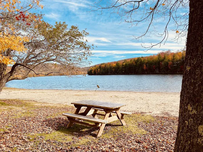 Mongaup Pond Campground 5