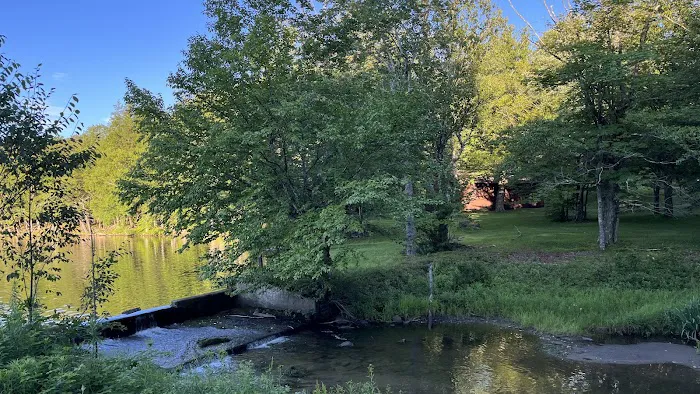 Mongaup Pond Campground 4