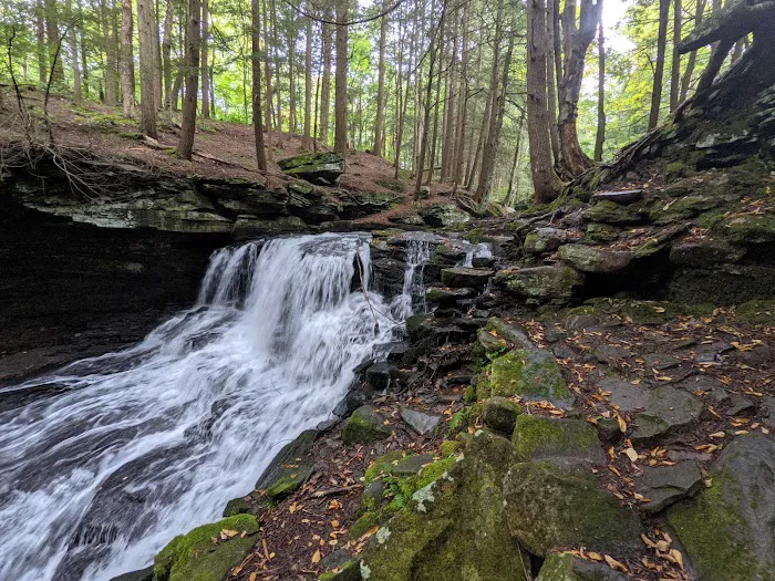 Mongaup Pond Campground 7