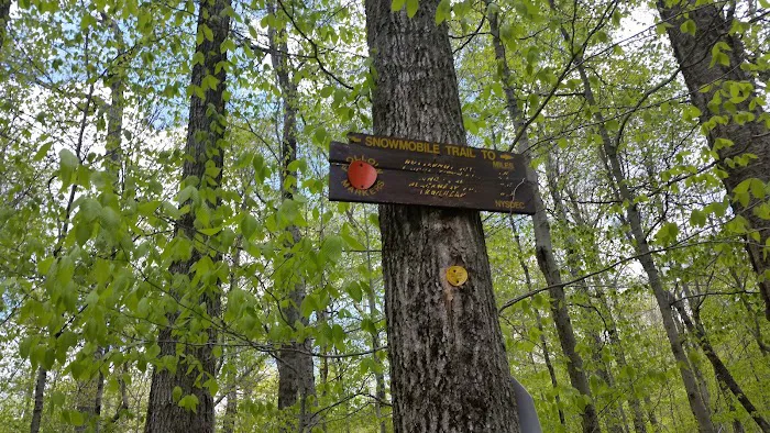 Mongaup Pond Campground 8