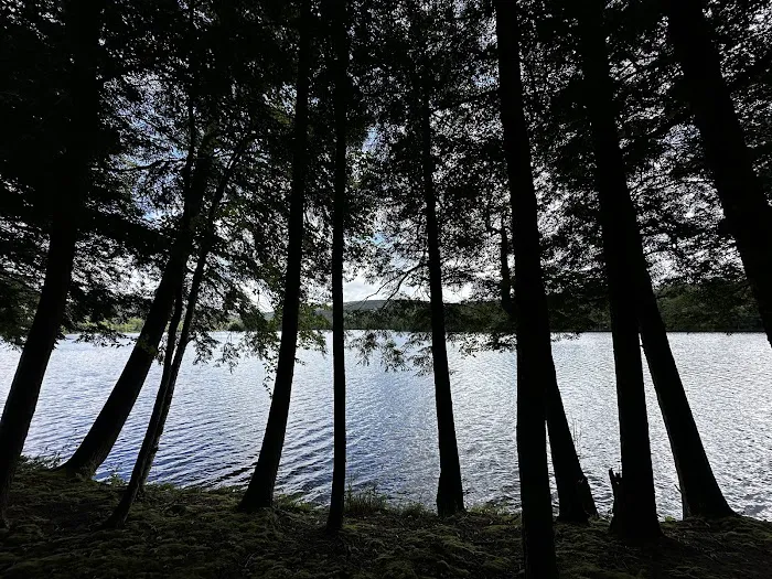 Mongaup Pond Campground 9