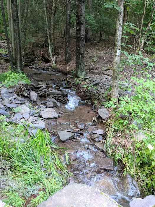 Camp Tri-Mount 9