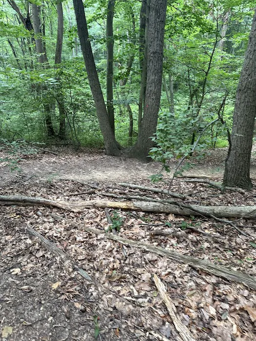 Thompson Park Scout Reservation 0