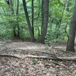 Thompson Park Scout Reservation