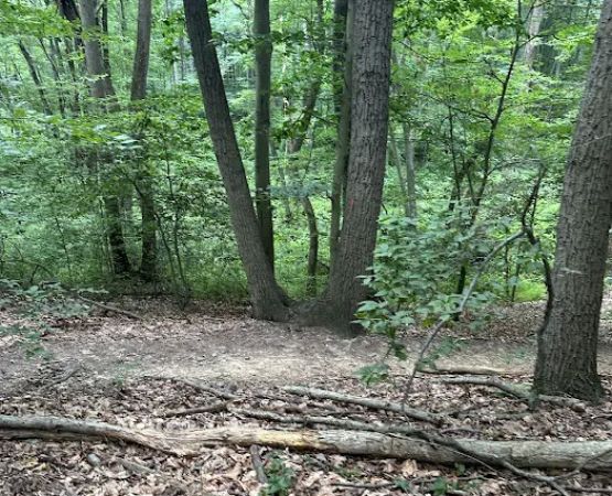 Thompson Park Scout Reservation