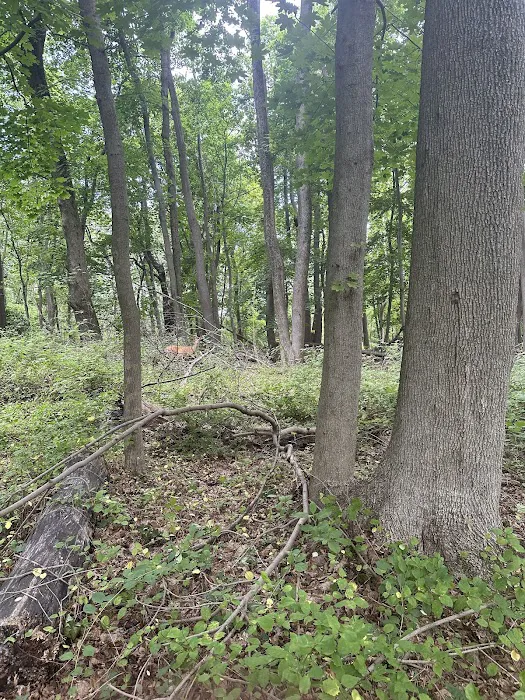 Thompson Park Scout Reservation 3