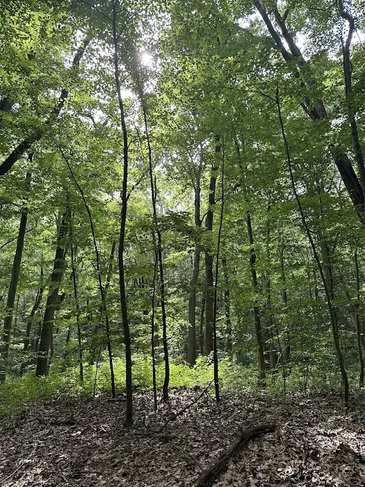Thompson Park Scout Reservation 2