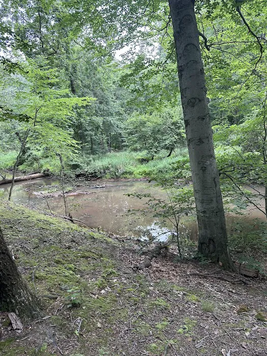 Thompson Park Scout Reservation 5