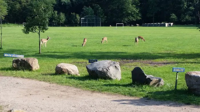 Pouch Camporee Field 1