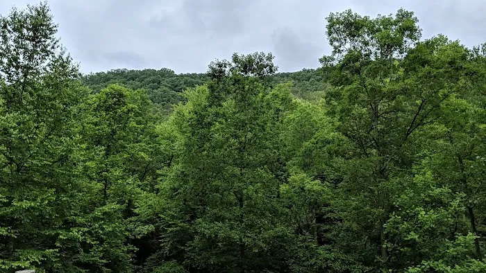 Pounding Mill Creek Estates 1