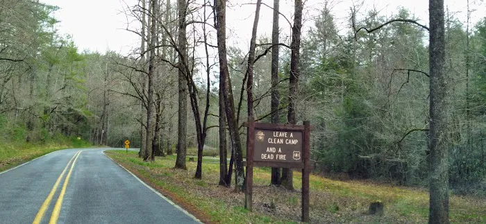 Huskins Branch Campground 0