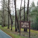 Huskins Branch Campground