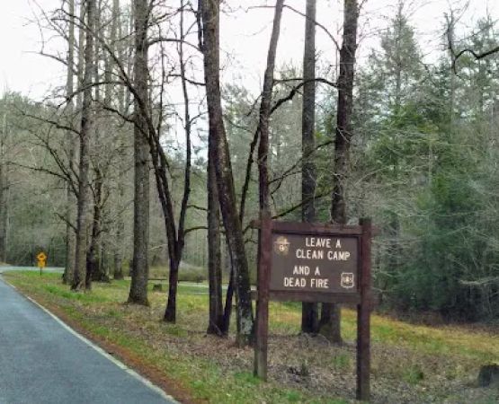 Huskins Branch Campground