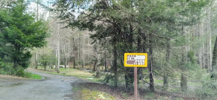 Huskins Branch Campground 3