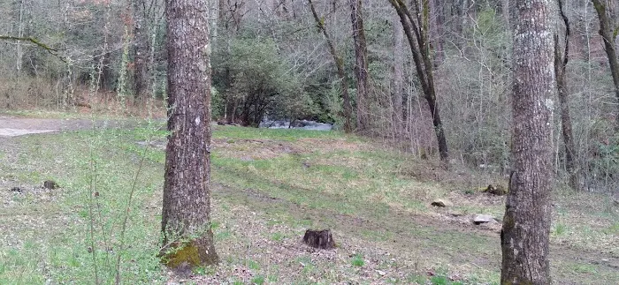 Huskins Branch Campground 4
