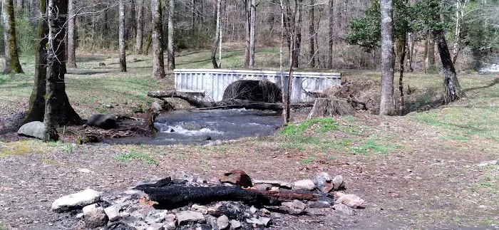 Huskins Branch Campground 6