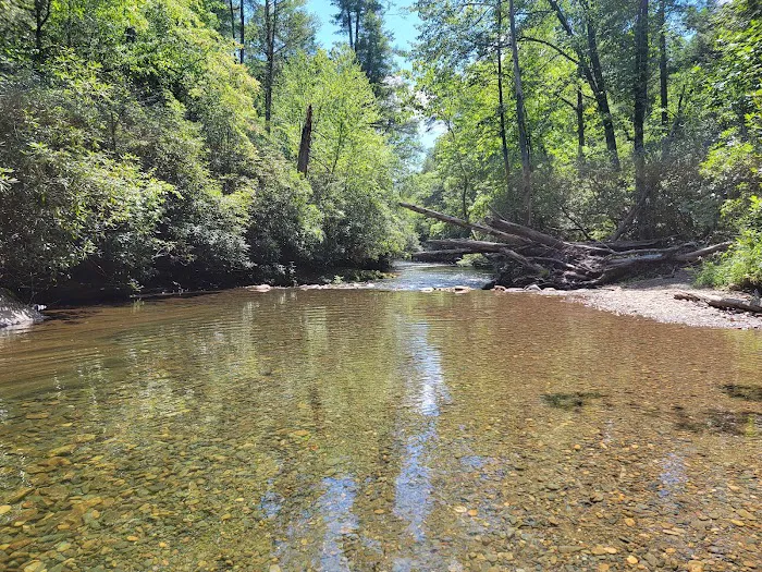 Huskins Branch Campground 7