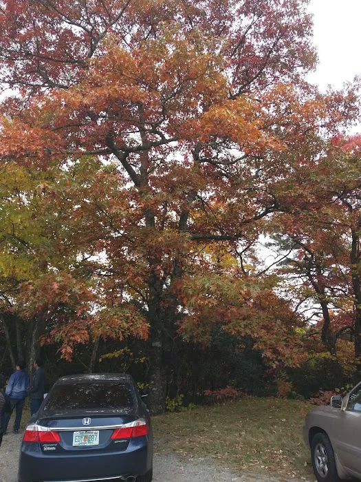 Cradle of Forestry In Amer I 3