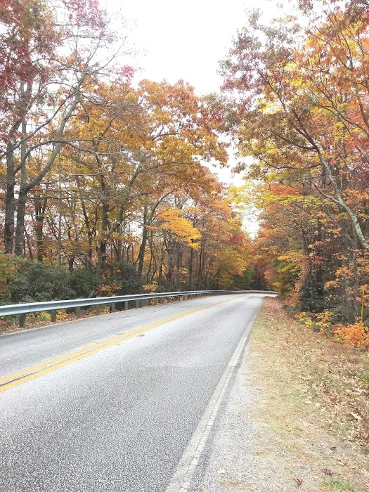 Cradle of Forestry In Amer I 7