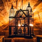 Magical Mountain Resorts, The Enchanted Forest