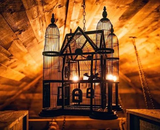 Magical Mountain Resorts, The Enchanted Forest