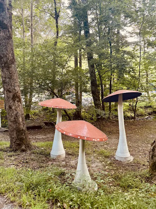 Magical Mountain Resorts, The Enchanted Forest 4