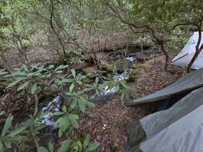 Indian Grave Gap Campsite 2
