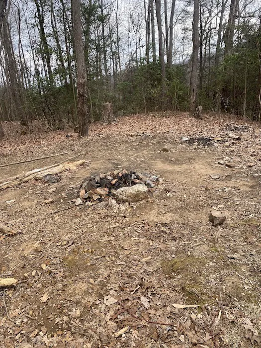 Indian Grave Gap Campsite 0