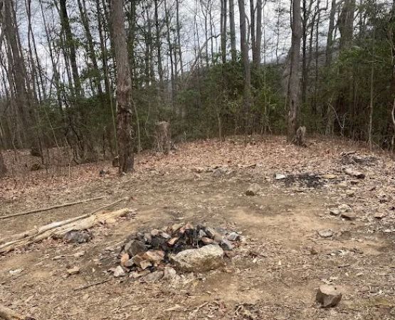 Indian Grave Gap Campsite