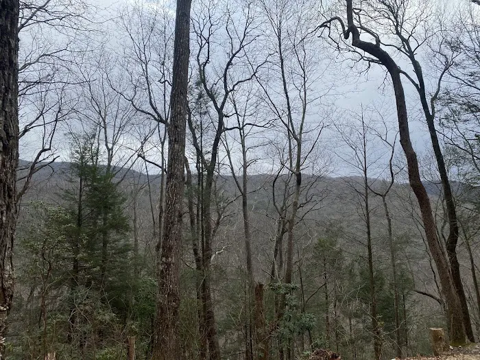 Indian Grave Gap Campsite 3