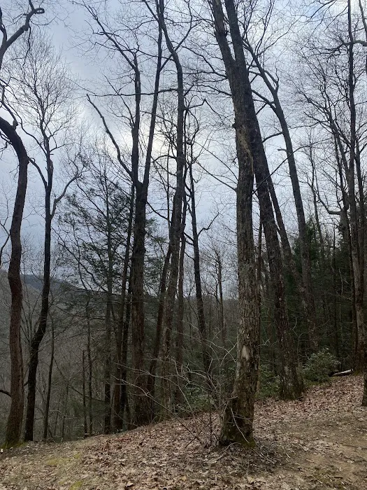 Indian Grave Gap Campsite 6
