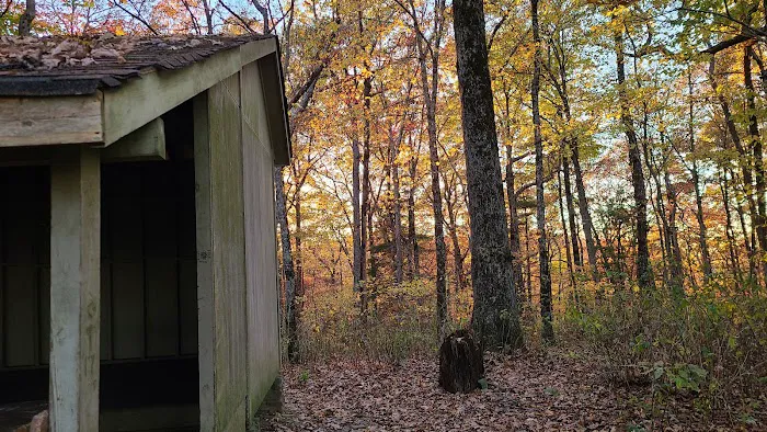 Blue Mountain Shelter 2