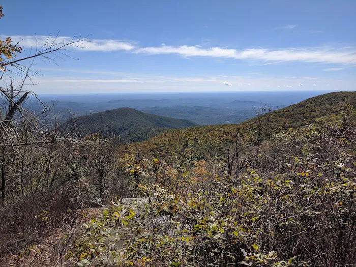 Tray Mountain AT Shelter 2