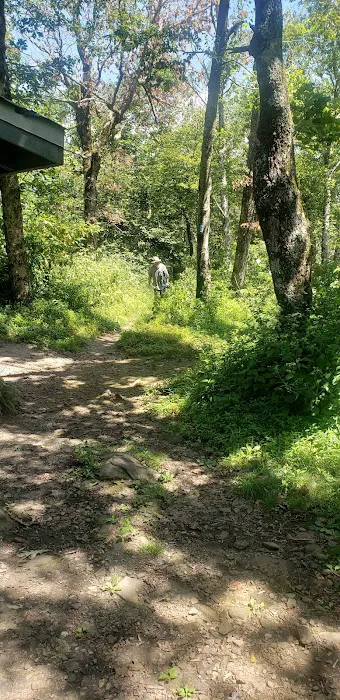 Tray Mountain AT Shelter 6