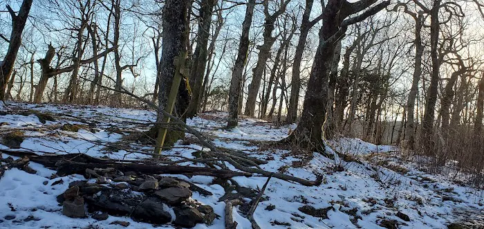 Tray Mountain AT Shelter 8