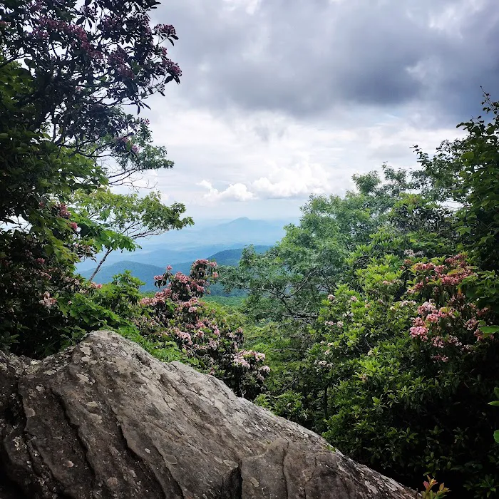 Tray Mountain AT Shelter 9