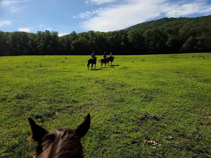 Trackrock Stables 6
